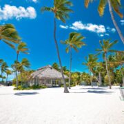 White sand beach in Islamorada, Florida